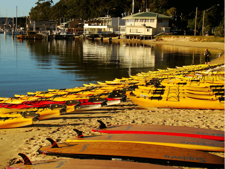 The rental fleet at Sydney Harbour Kayaks is amazing