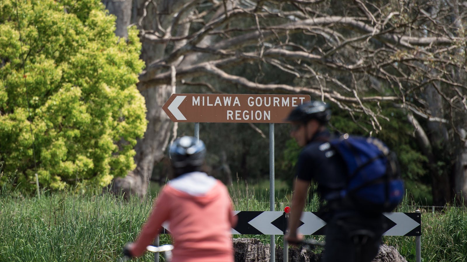 Tour de Vines