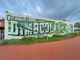Dimboola image
