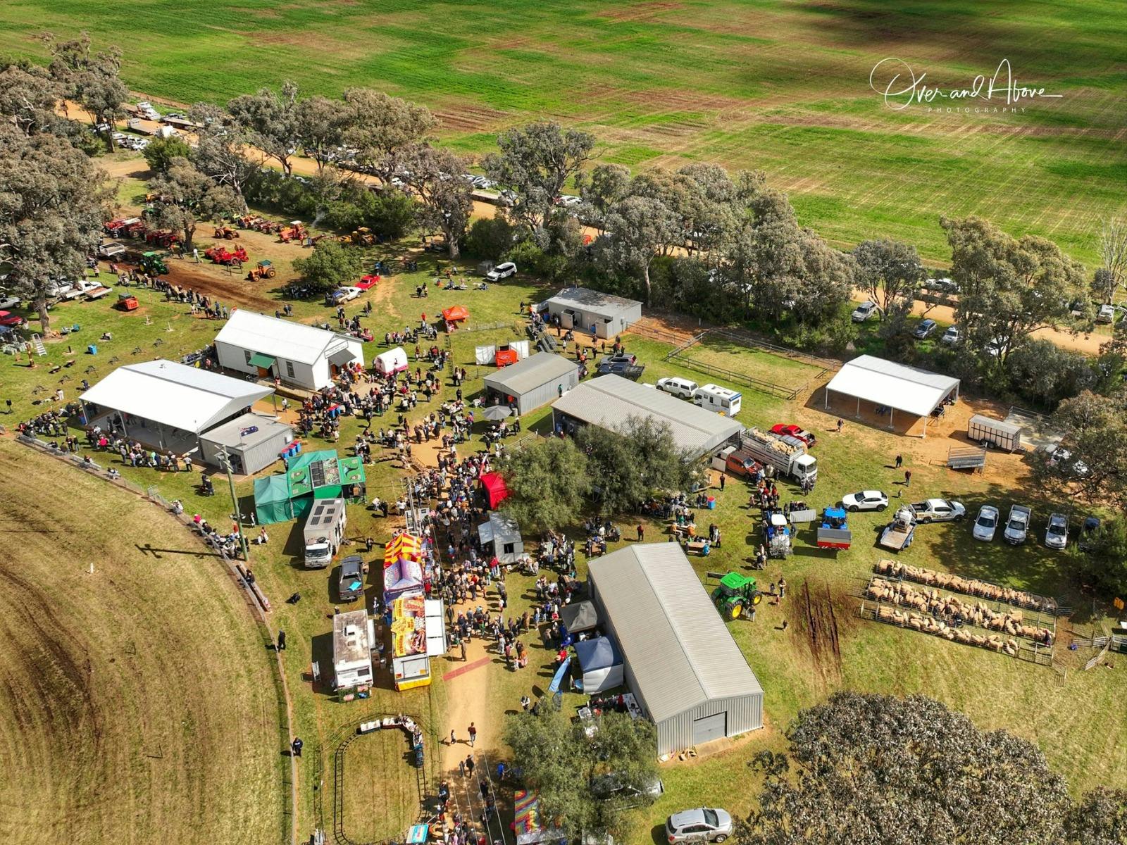 Woodstock Memorial Show