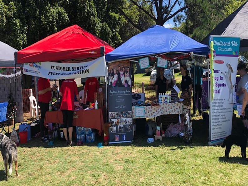 Image of the event 'Dogs in the Park Port Macquarie'