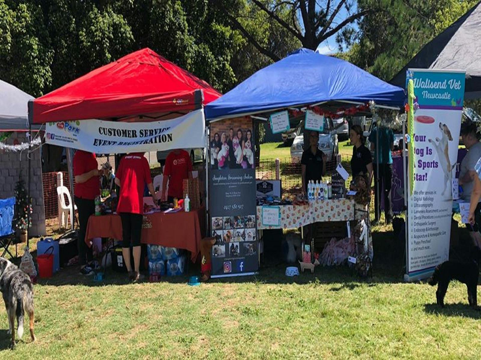 Image for Dogs in the Park Gosford