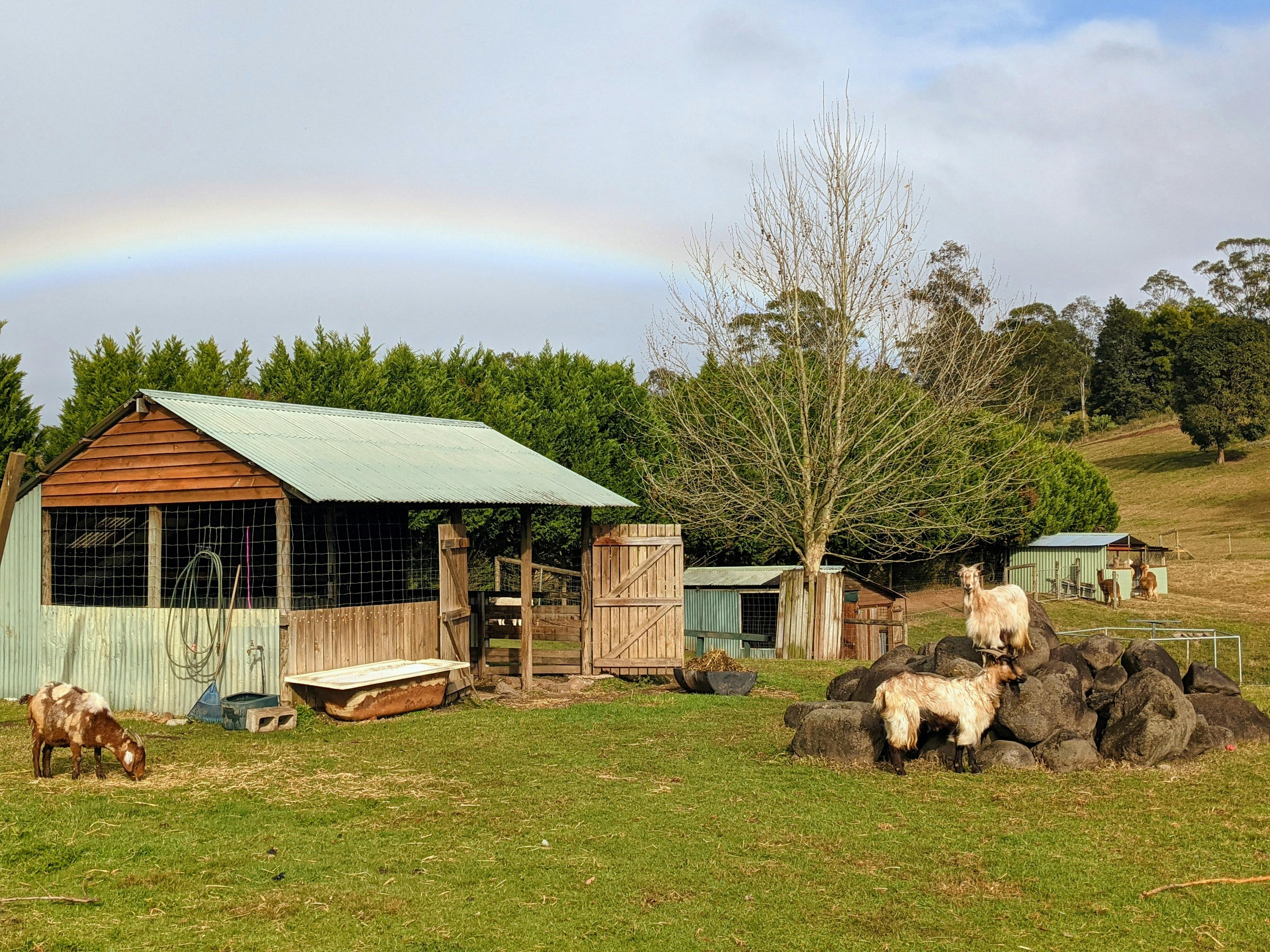 秋に聖域を横切る虹