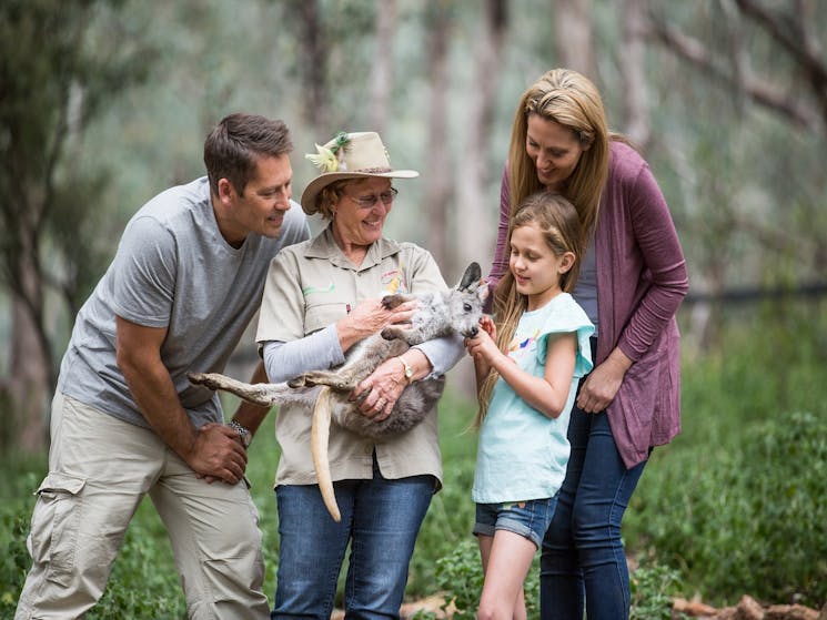 Photo of a family interacting with a baby kangaroo at the Marsupial Park
