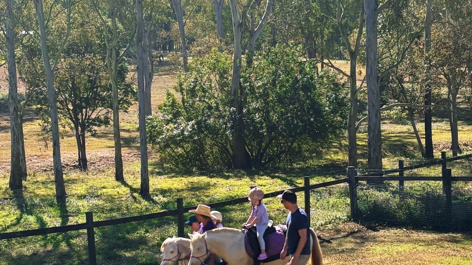 child riding pony child riding pony