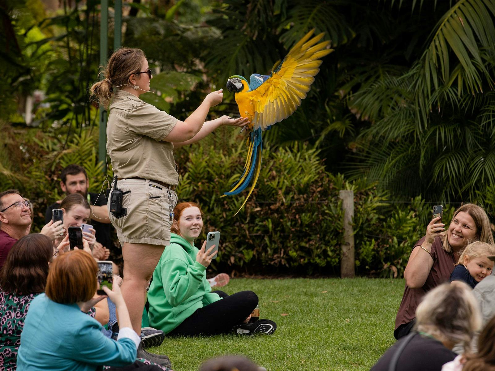 Free Flight Adelaide Zoo