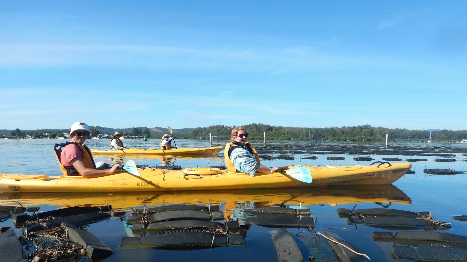 Growing racks of Oysters on the Clyde River