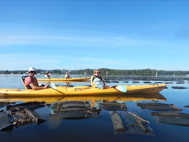 Growing racks of Oysters on the Clyde River