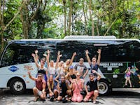 Jungle tours and trekking backpacker day tour cape tribulation