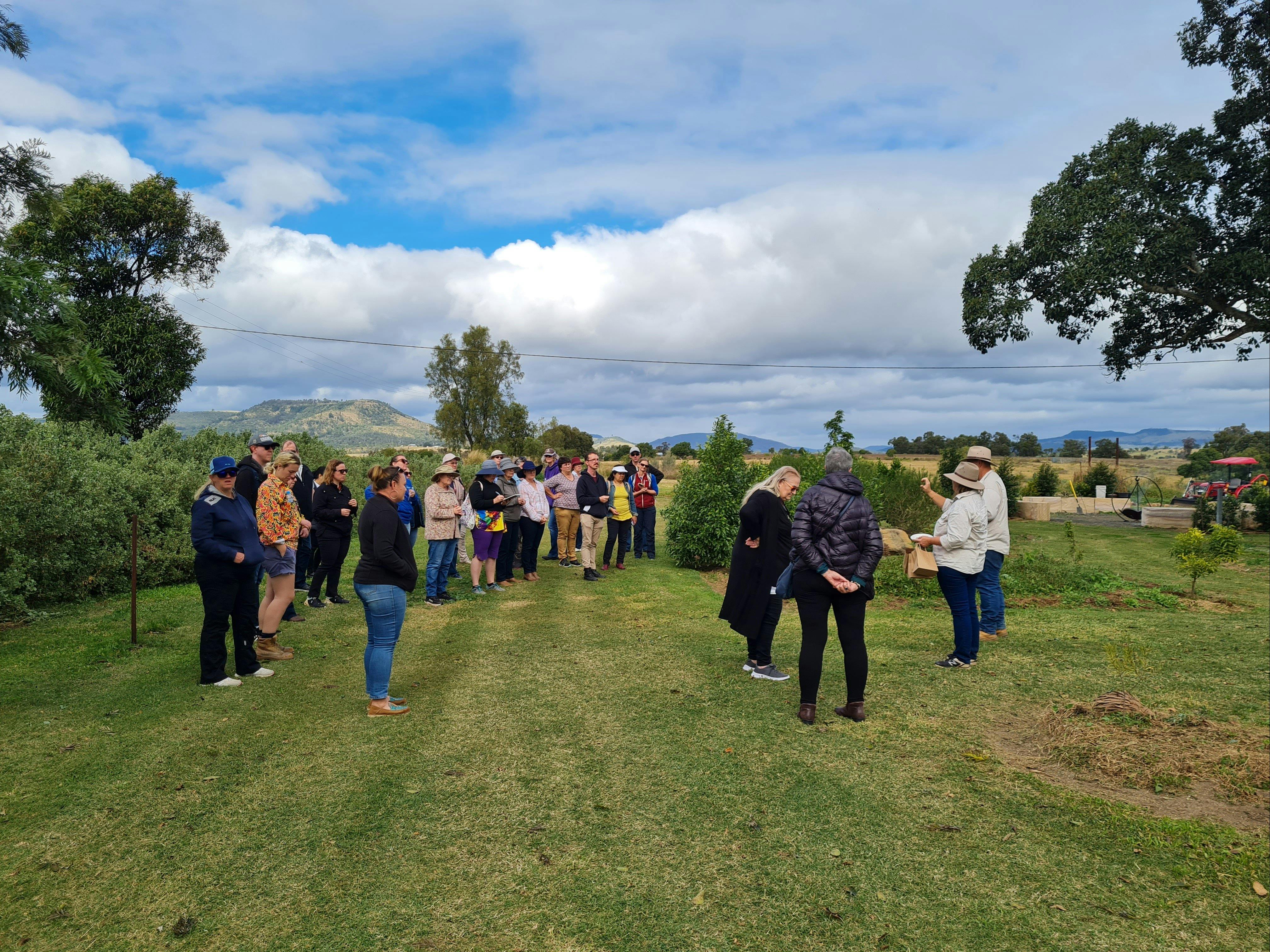 Bushfood and  Cultural  Eco Tour