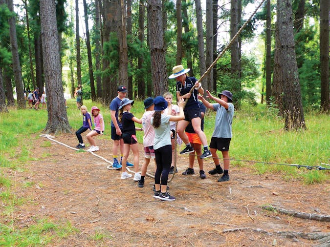Forest Smores and Explore