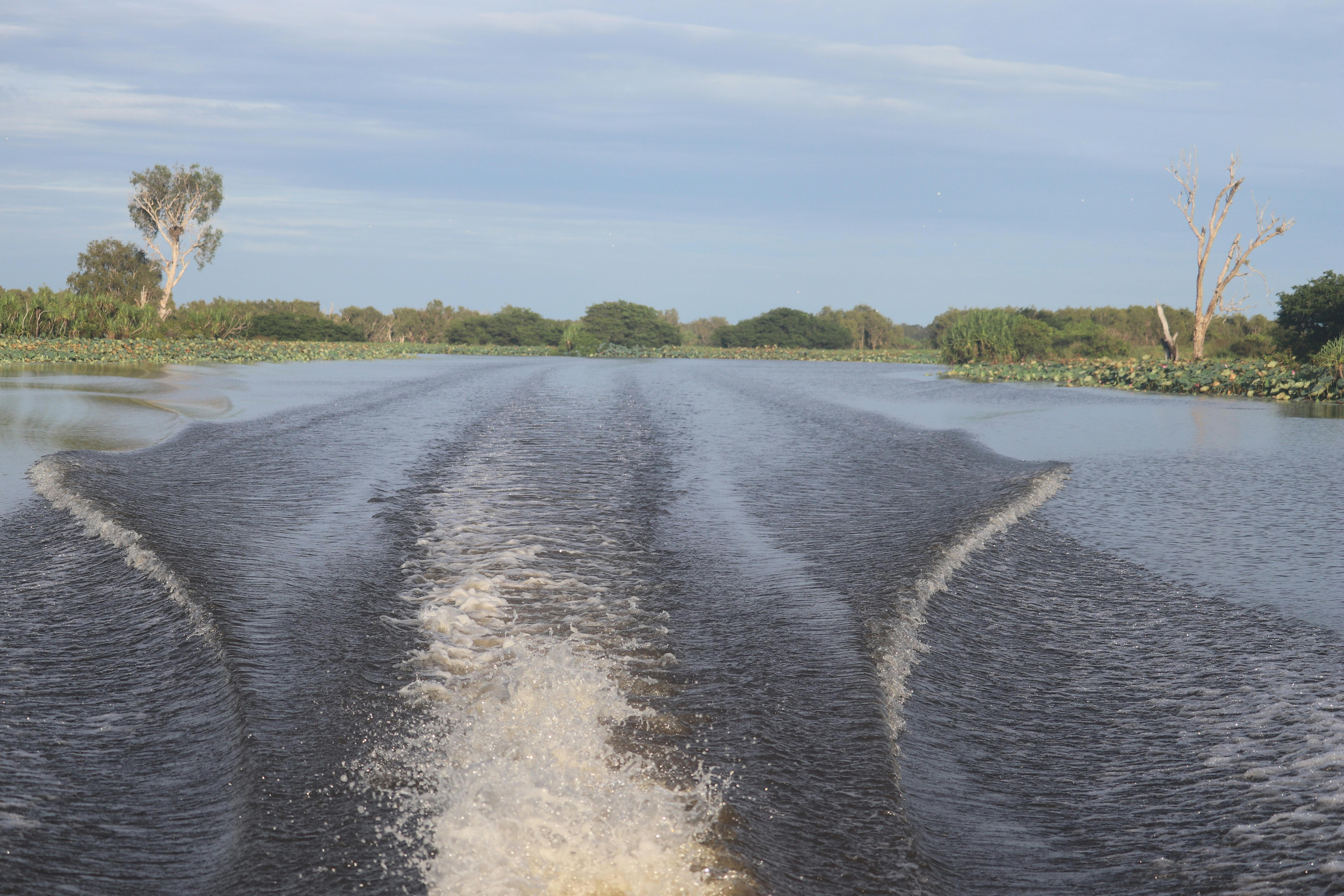 Corroboree Billabong