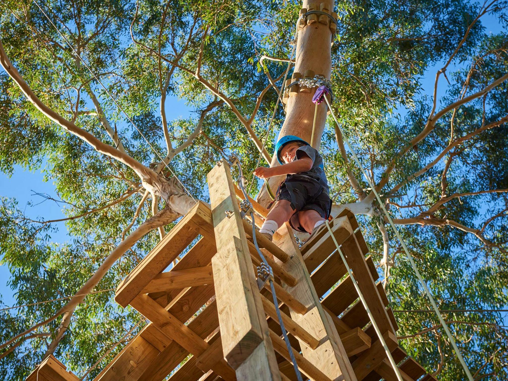 Next Level Monkey Business