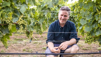 Collector Wines winemaker Alex McKay kneels in the vineyard.