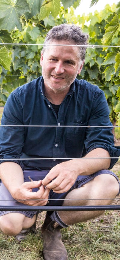 Collector Wines winemaker Alex McKay kneels in the vineyard.