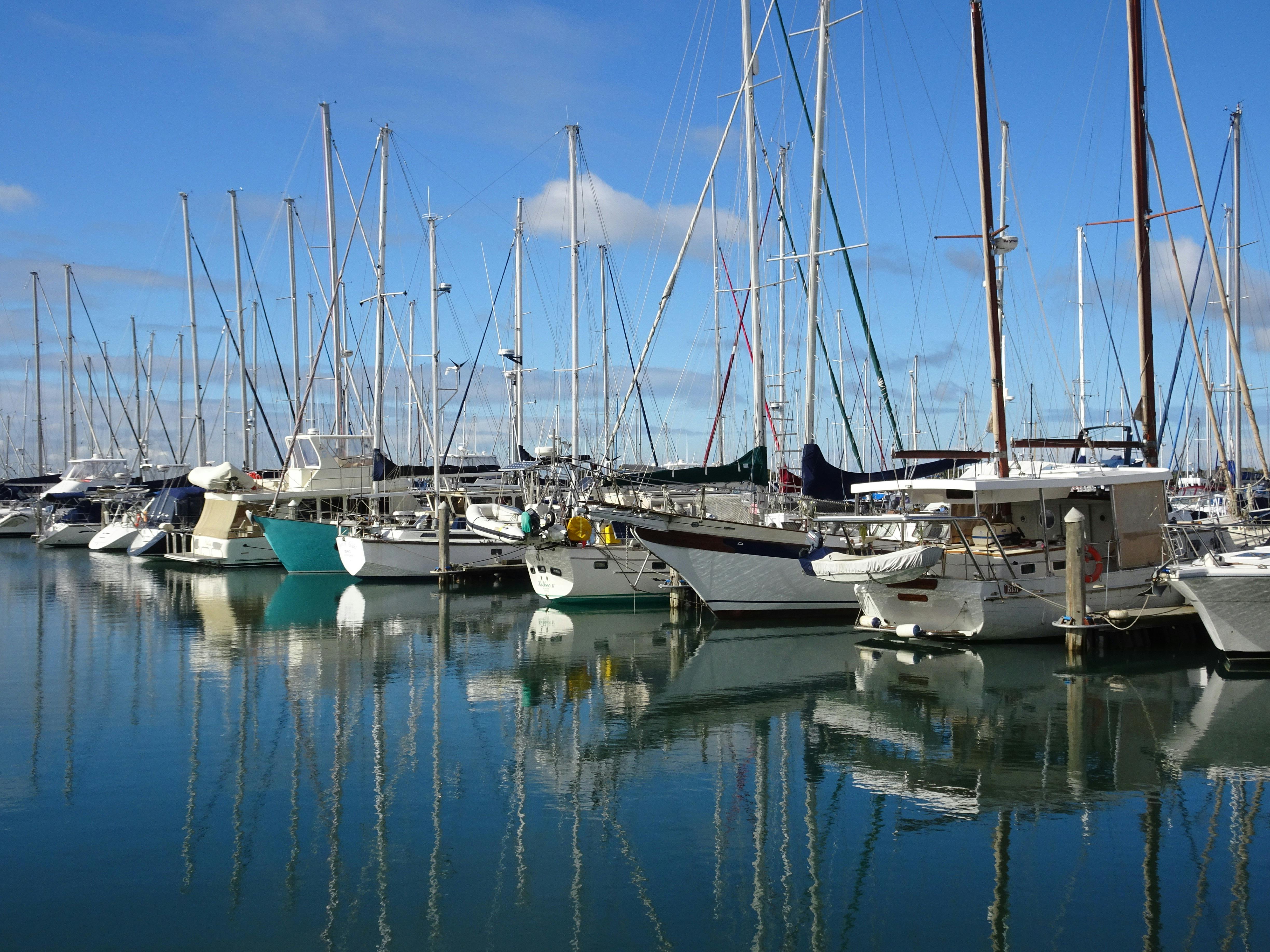 Hastings Trail (part of the Western Port Bay Trail)