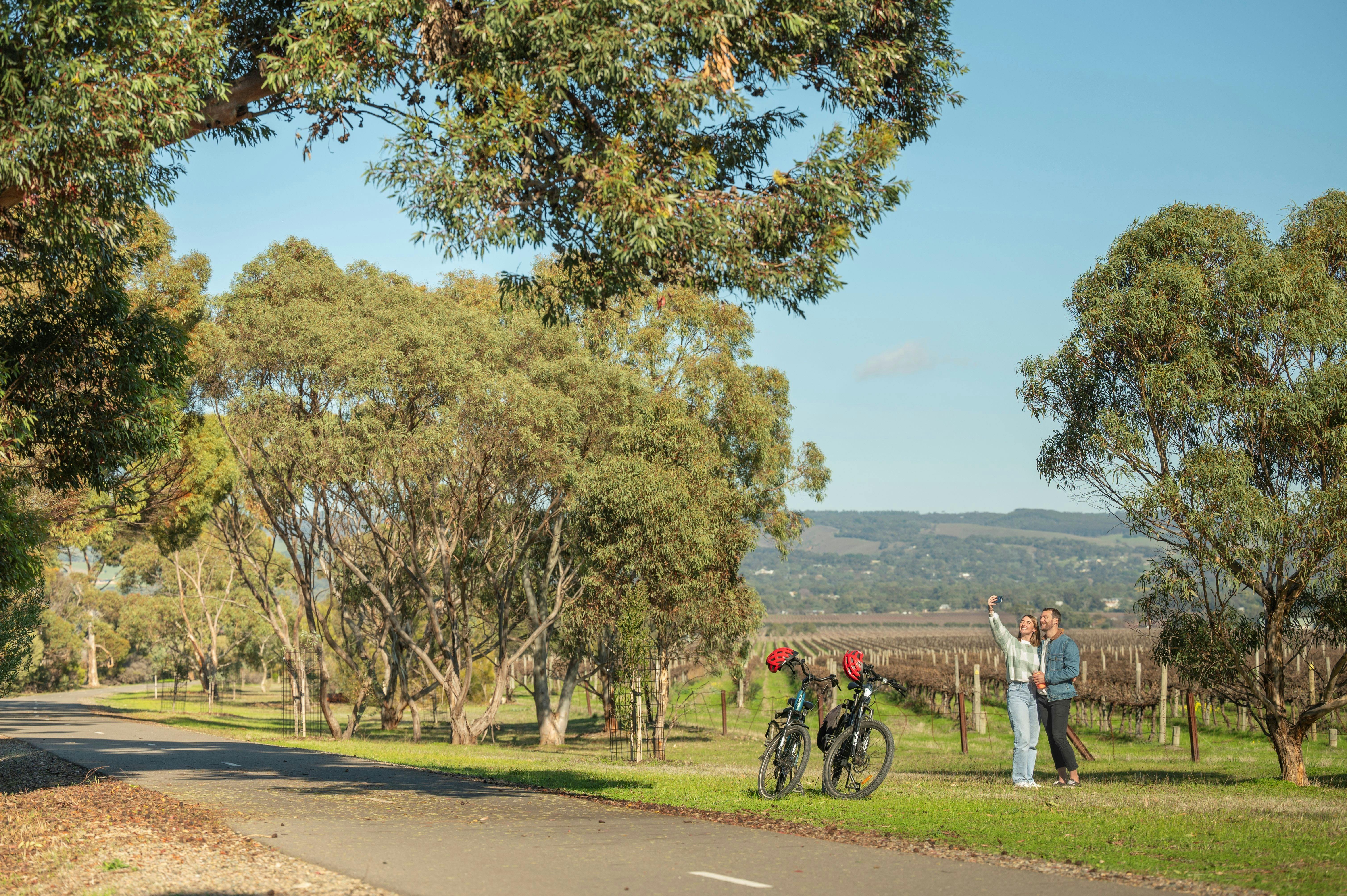 McLaren Vale E-Bike Tour