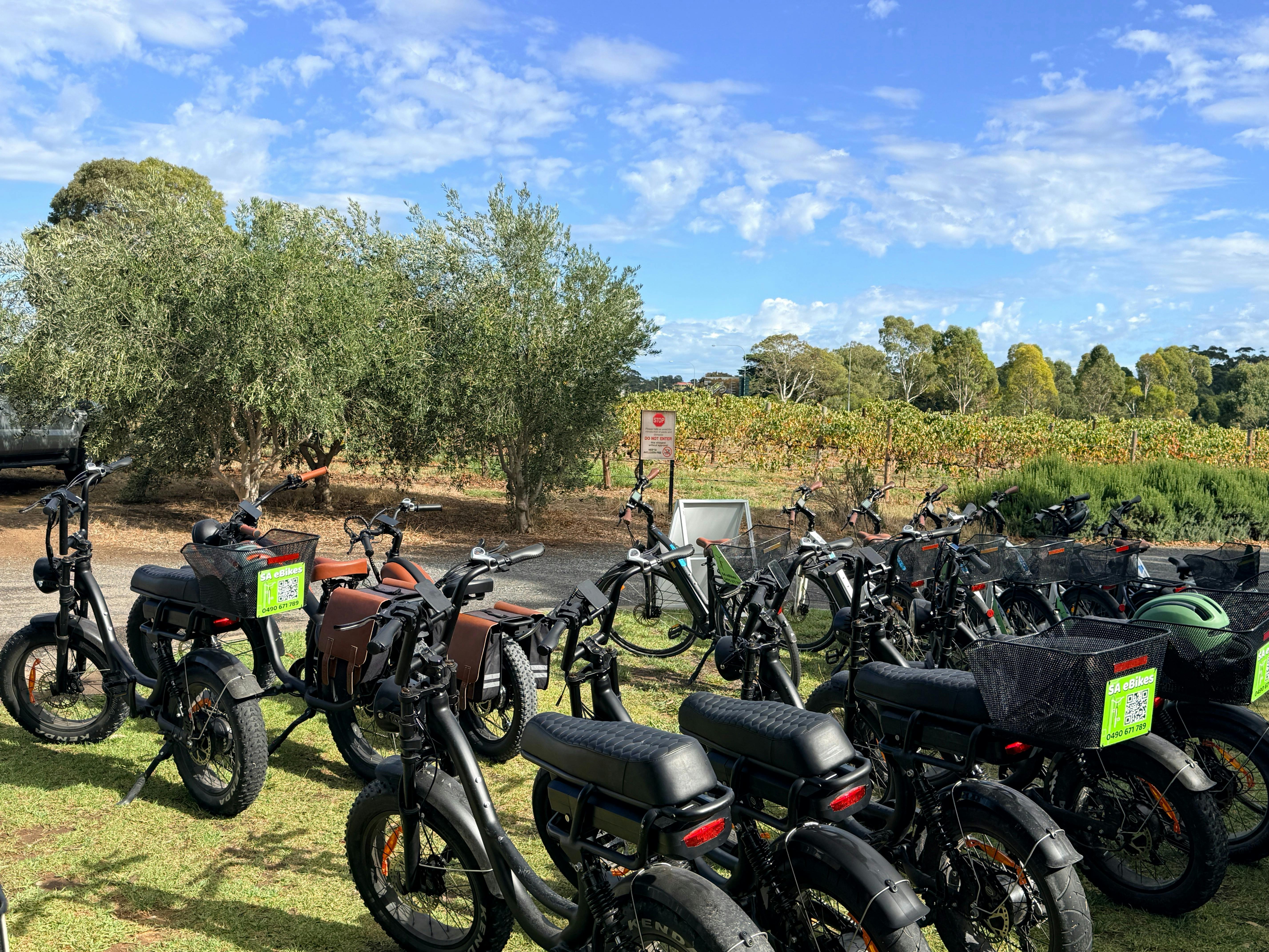 a collection of ebikes awaiting the arrival of their riders