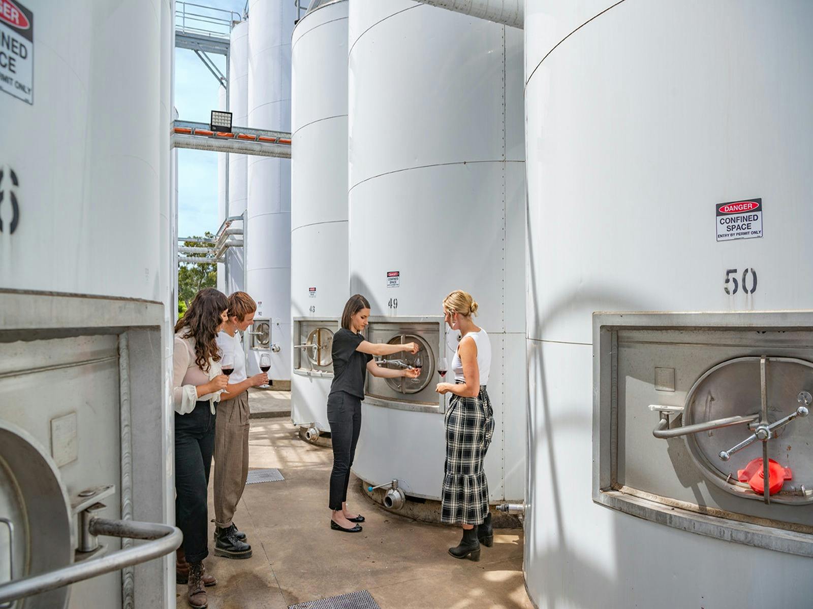 Wine tasting in the winery, a unique experience!