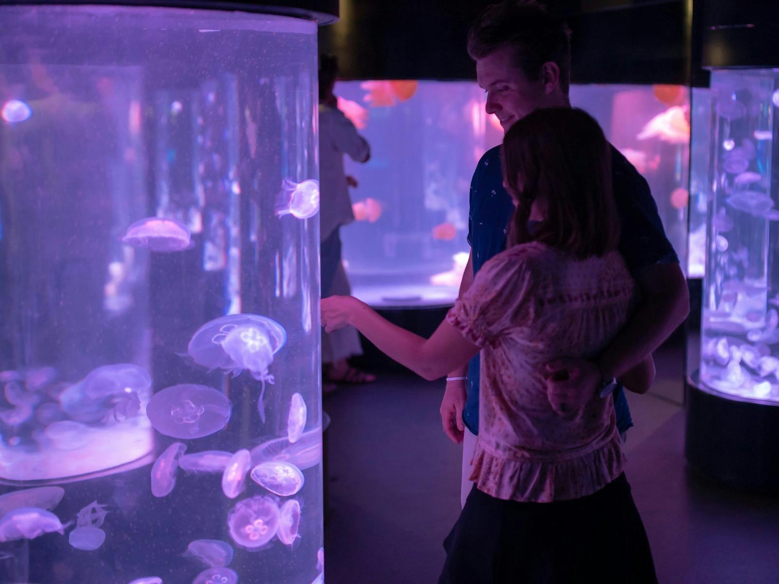 Adults Only Evening - SEA LIFE Sydney Aquarium
