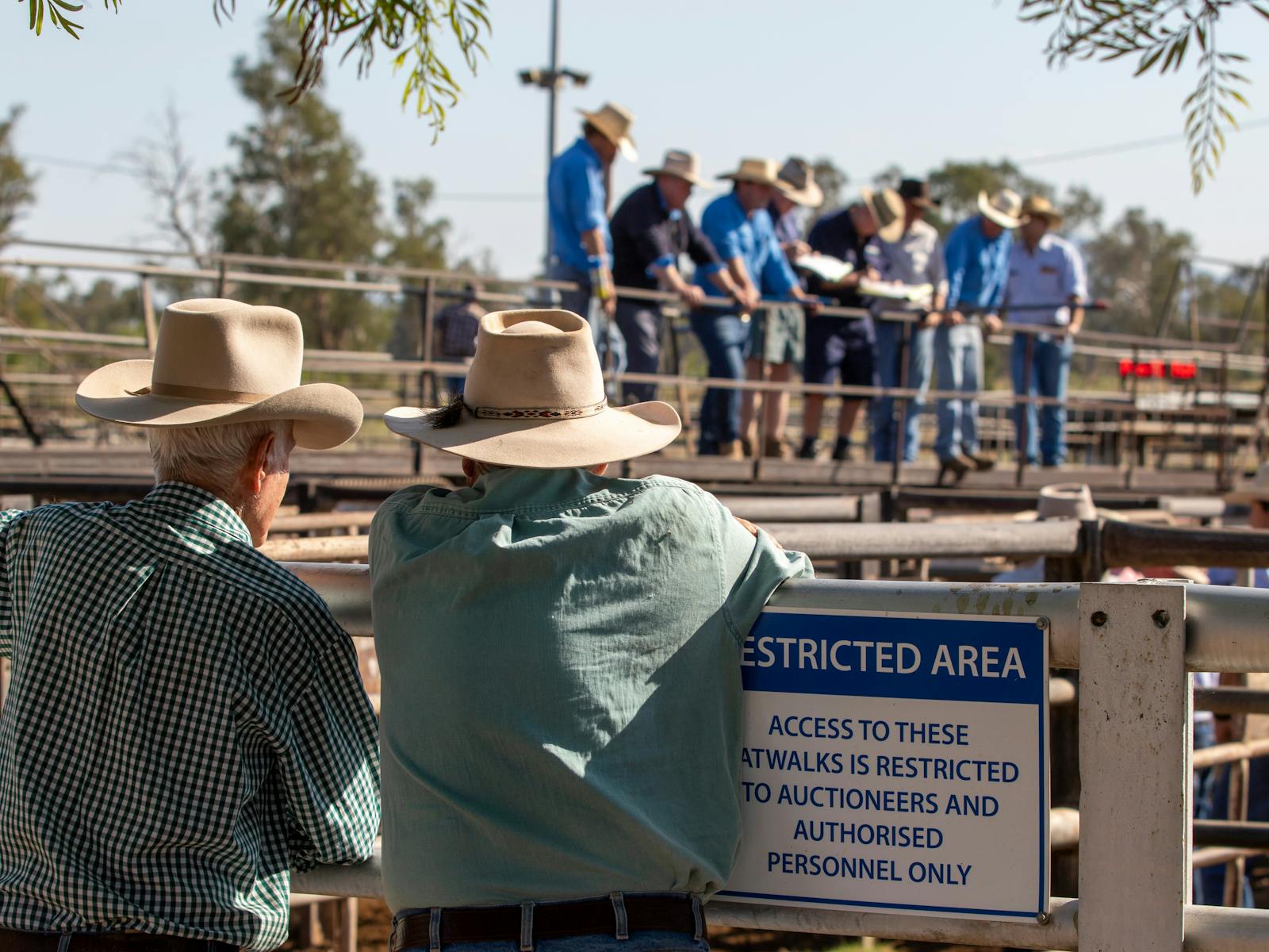 Image for Gunnedah Saleyards