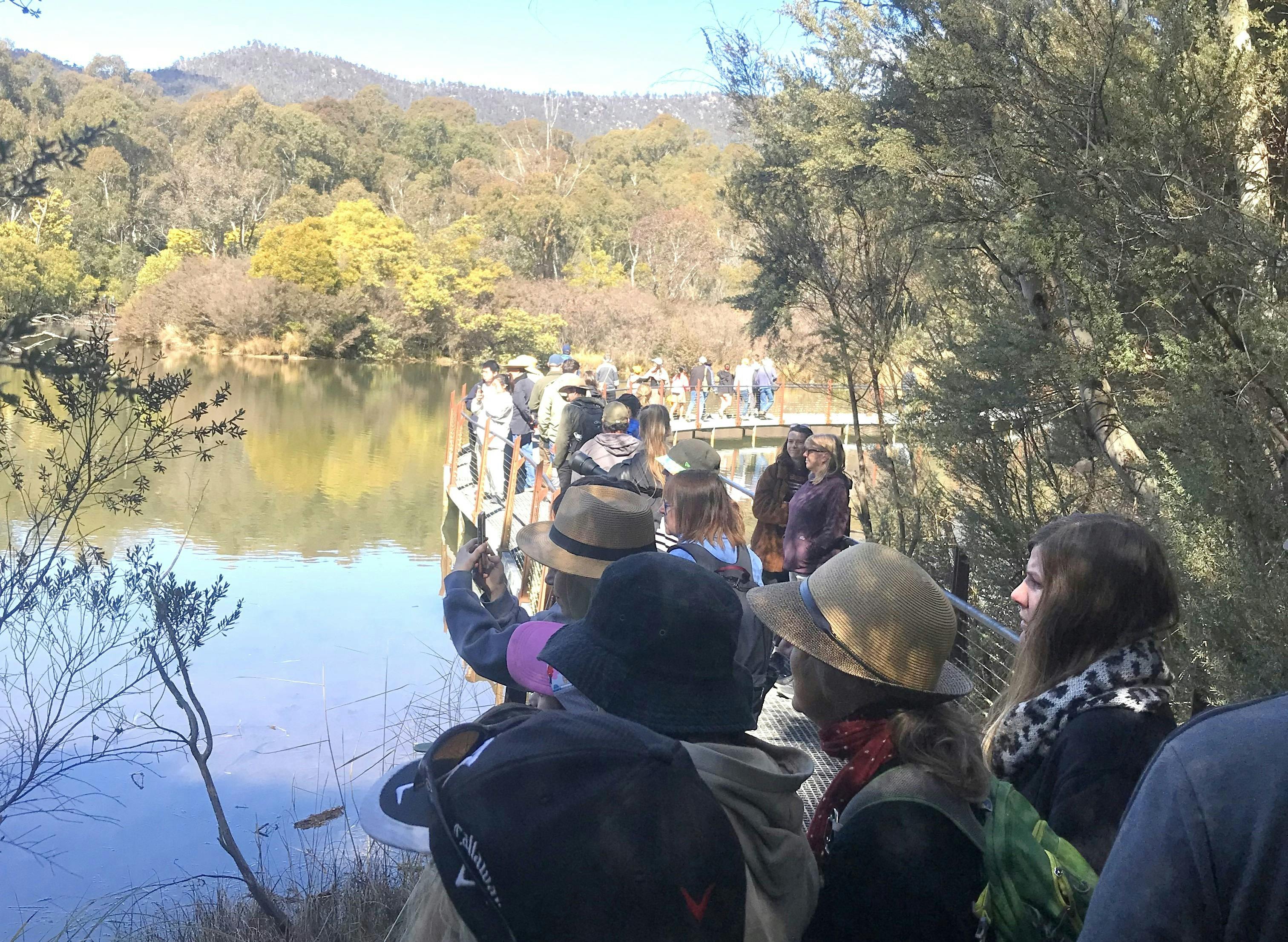 A group of people on a guided platypus walk