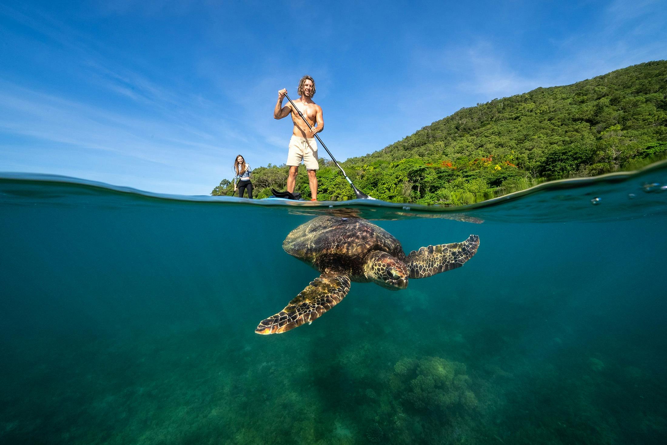 Fitzroy Island Day Tour - SUP