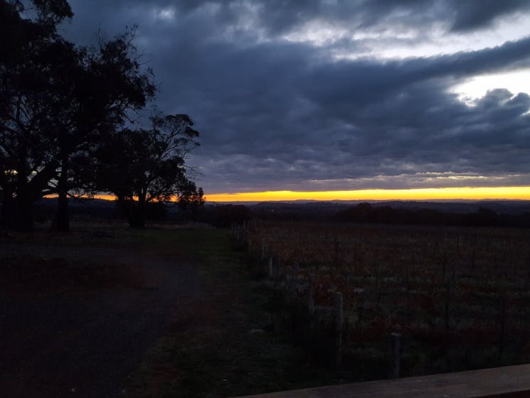 sunset at cargo wines