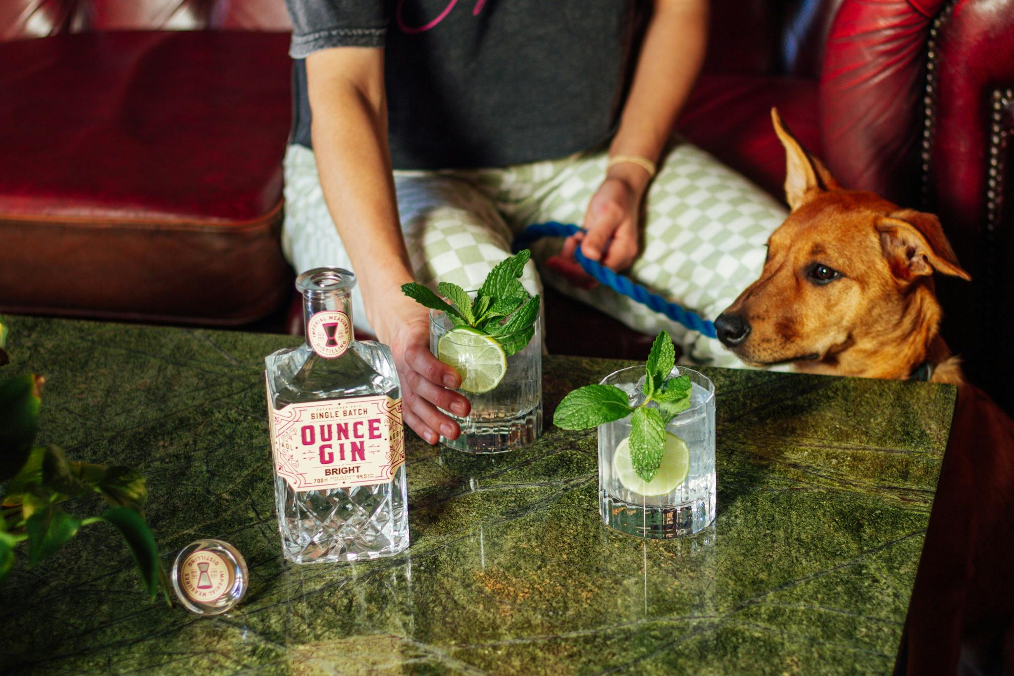 A bottle of Ounce Gin 'Bright' Gin and two gin and tonics on a table while someone reached for it