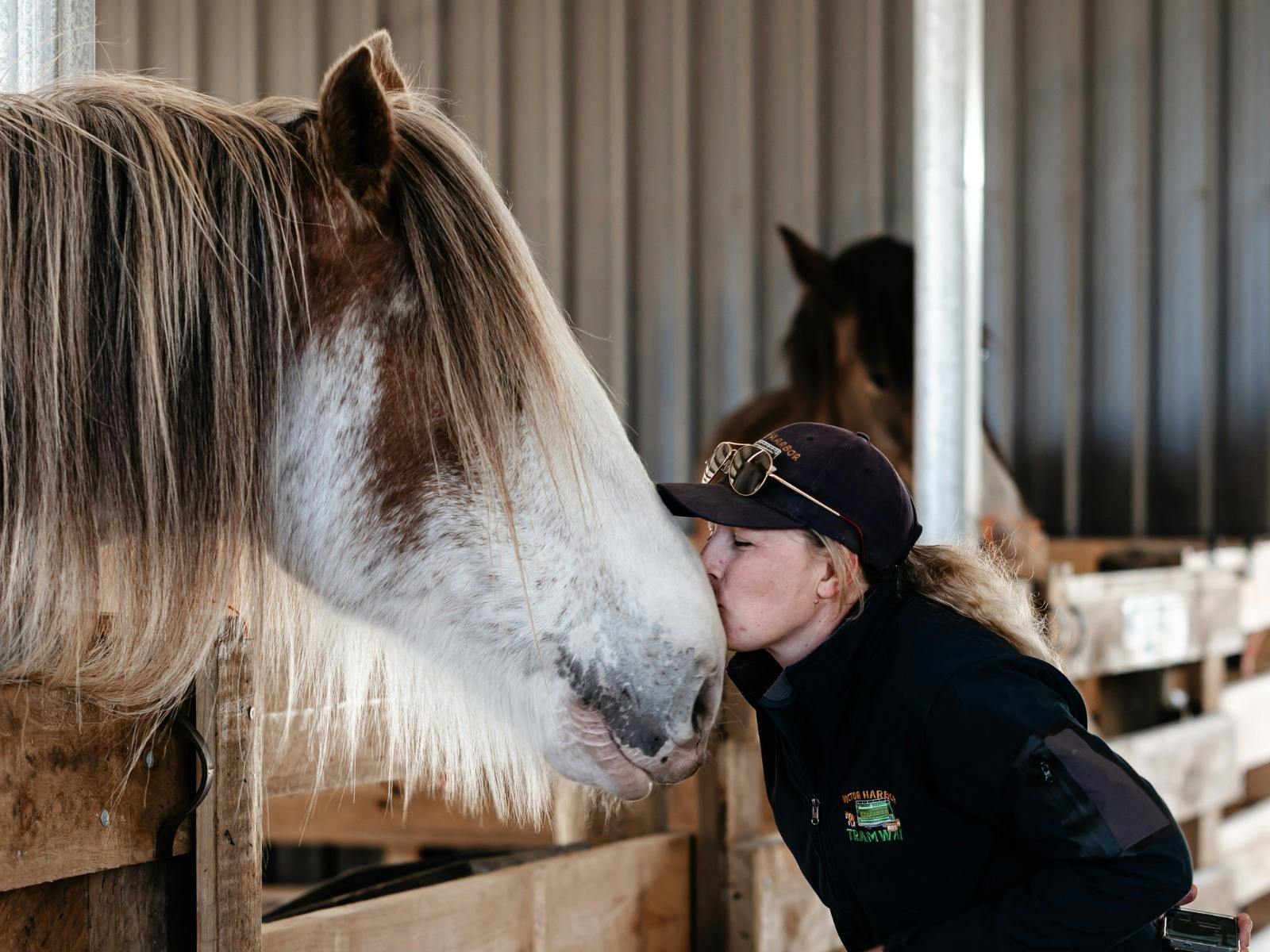 Horse Trainer Britt with Archie