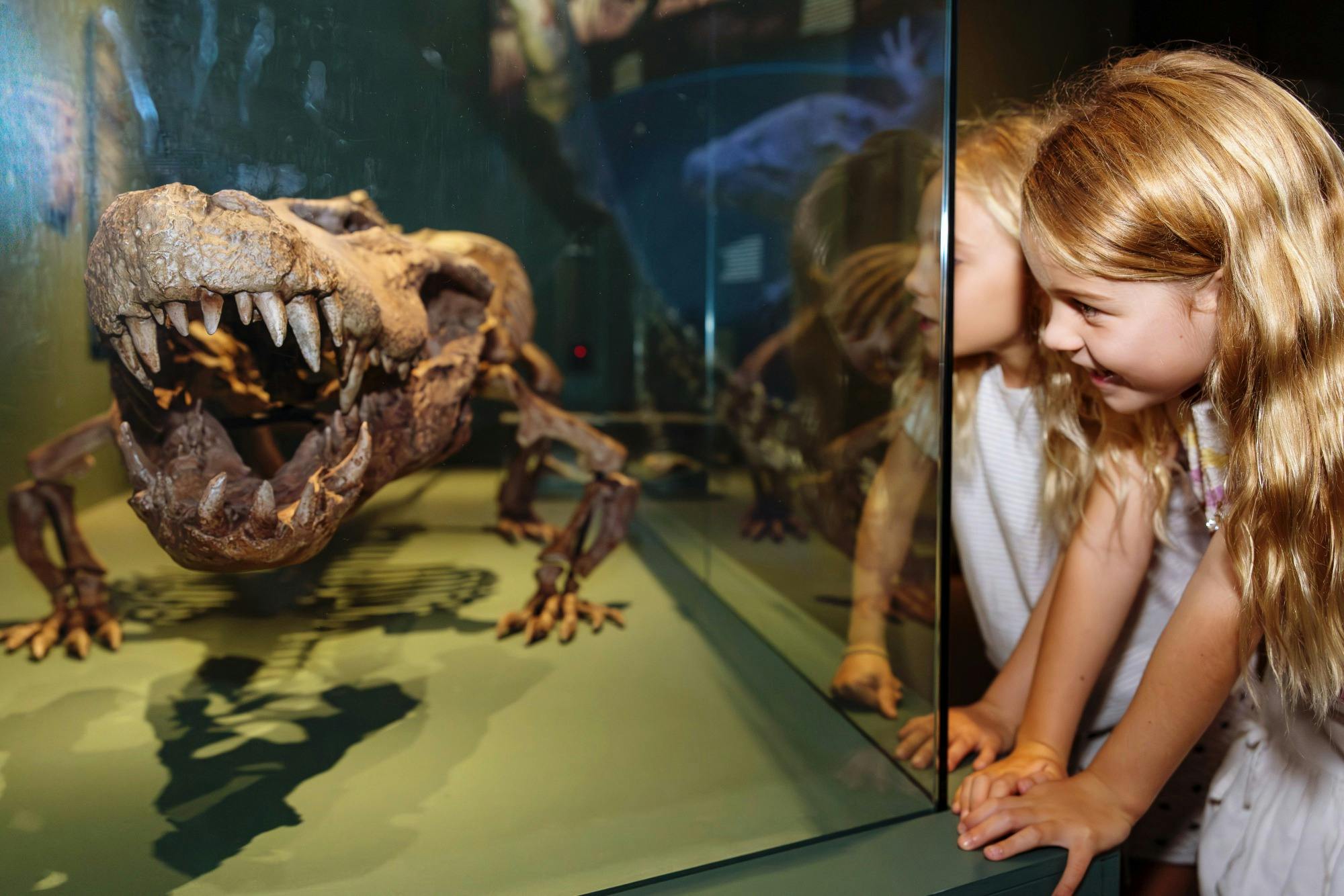 Visit Croc! at Queensland Museum Kurilpa