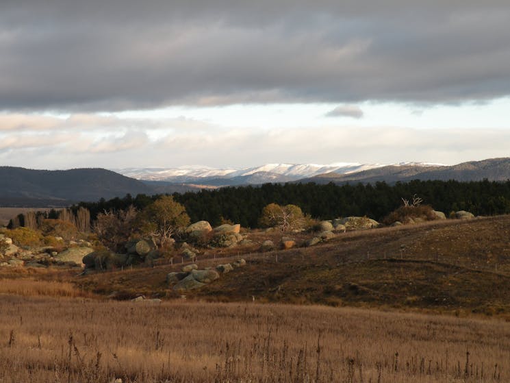 The view from Lachney Cottage