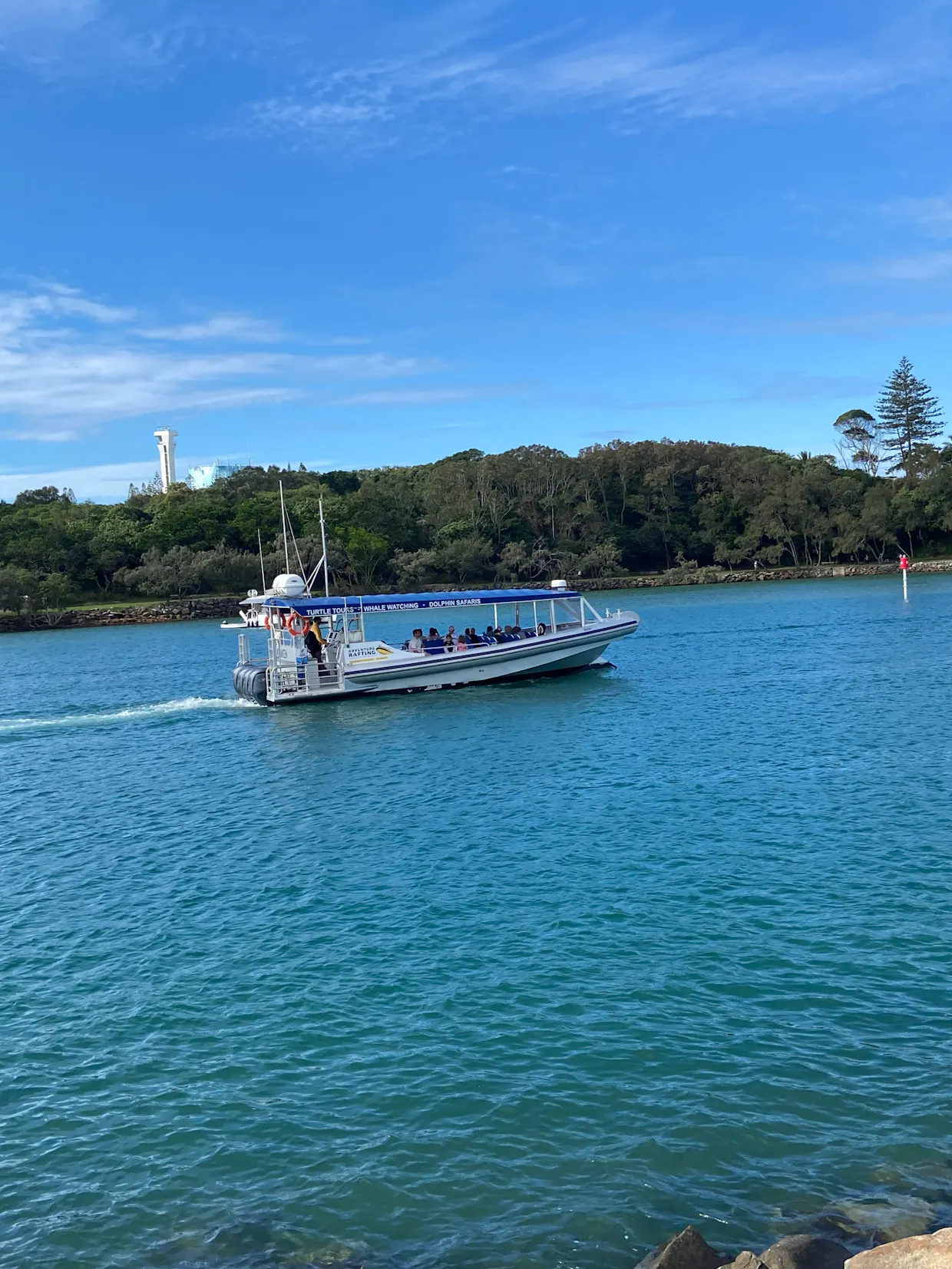 Mooloolaba Turtle Tour