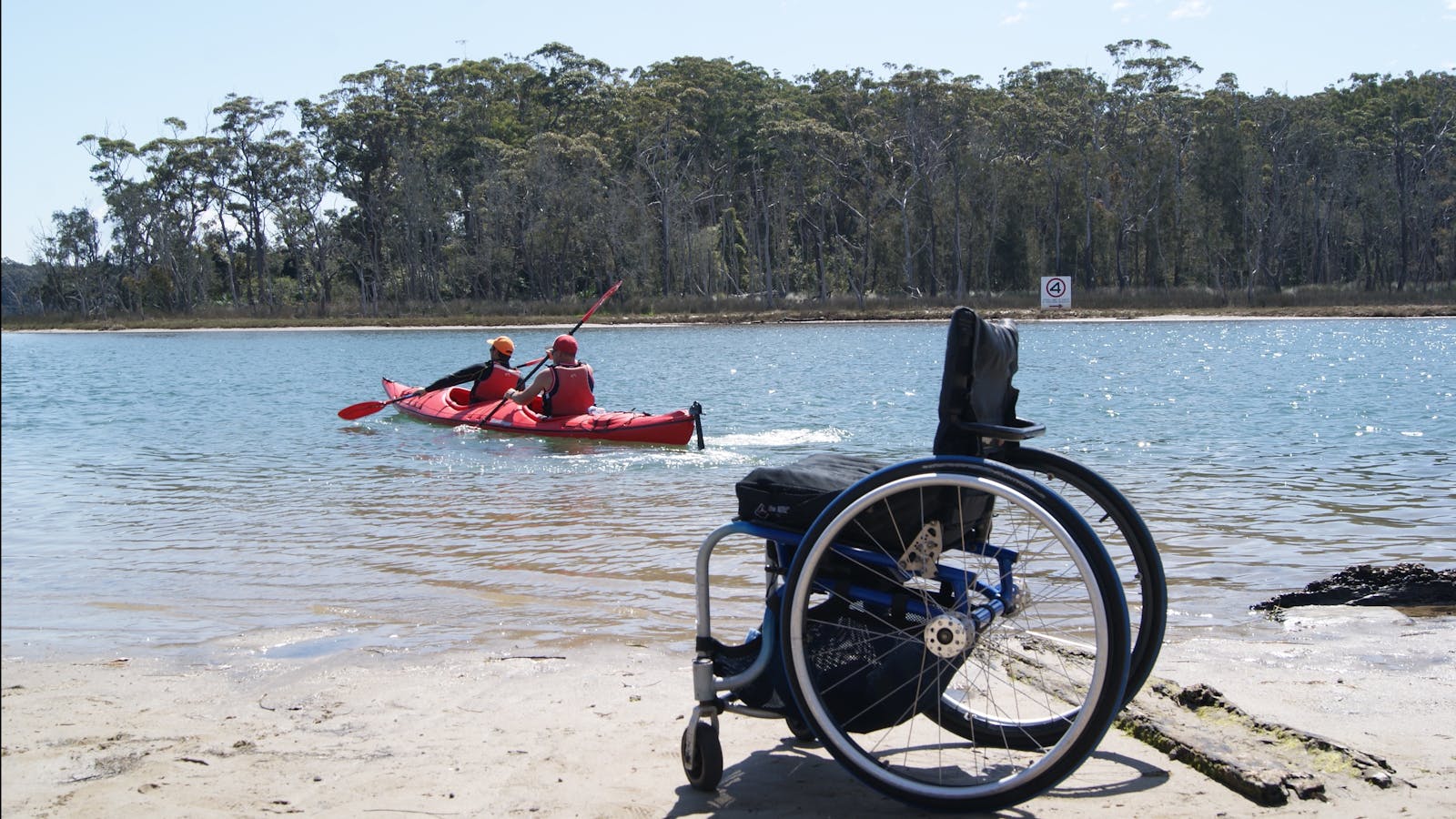 Bay and Beyond Sea Kayak Tours