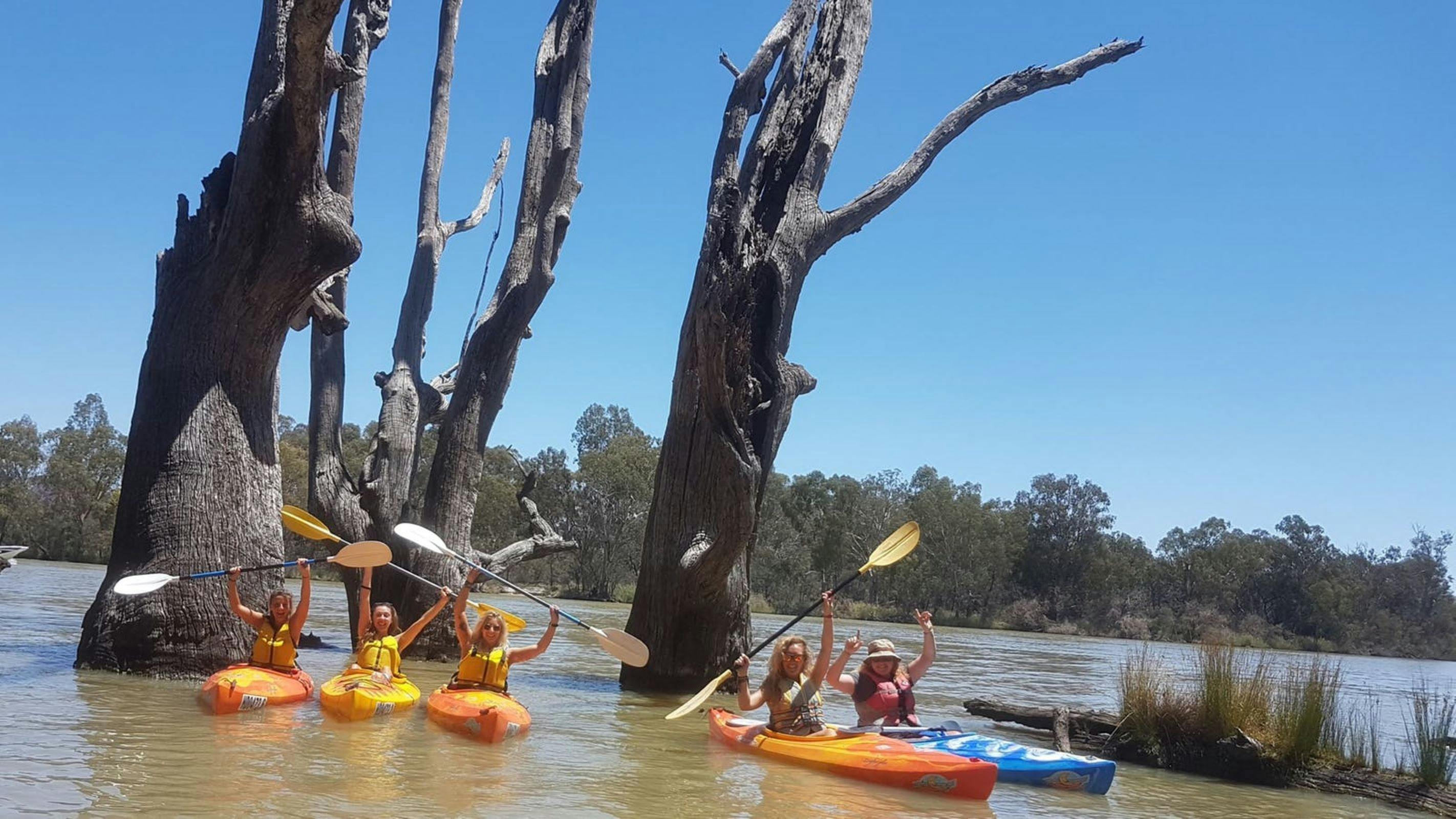 Wentworth - Murray and Darling River Junction