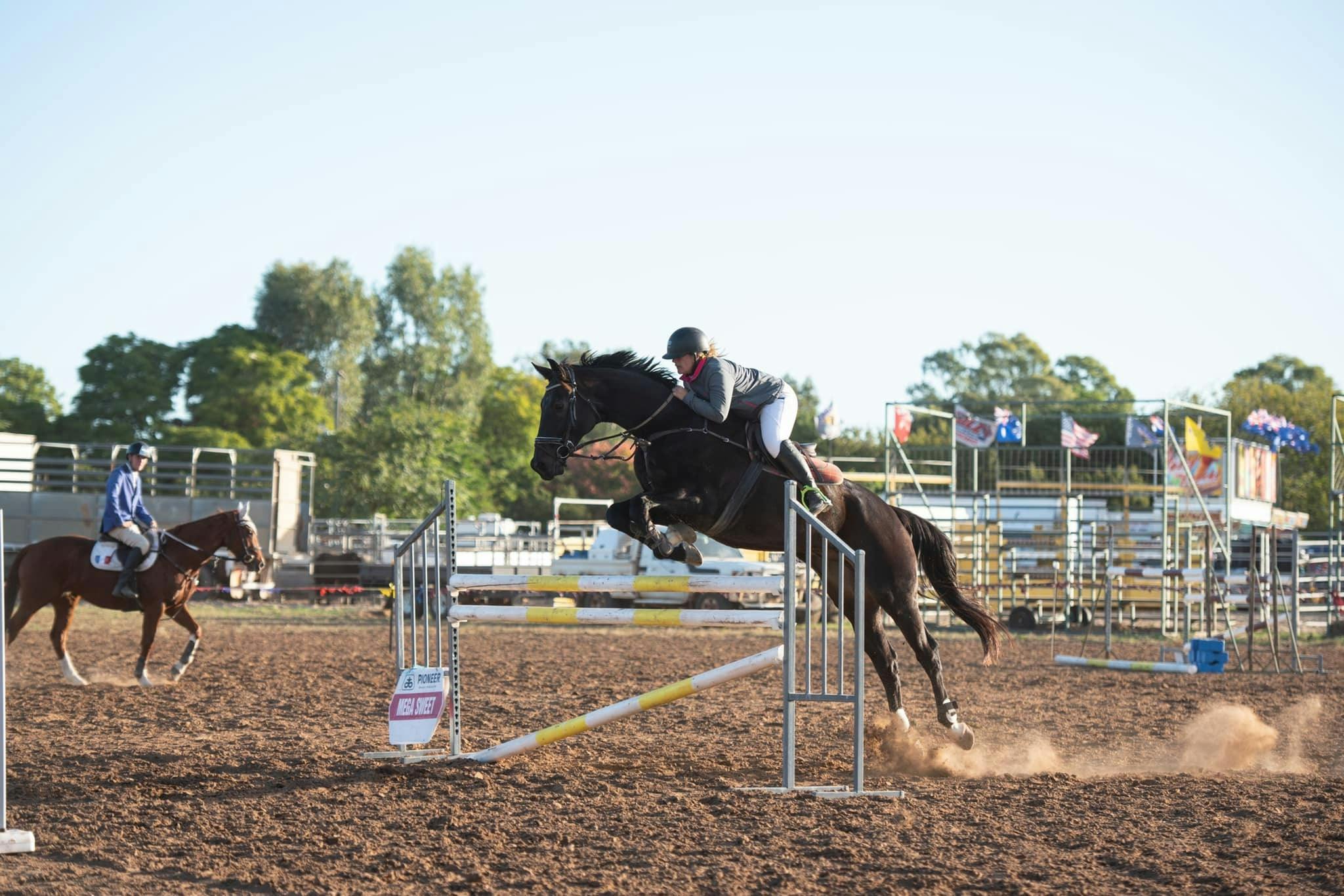 Horse Jumping