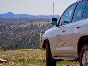 At 700m above sea level Mt Nielsen is one of the highest peaks in the Flinders with 4WD access