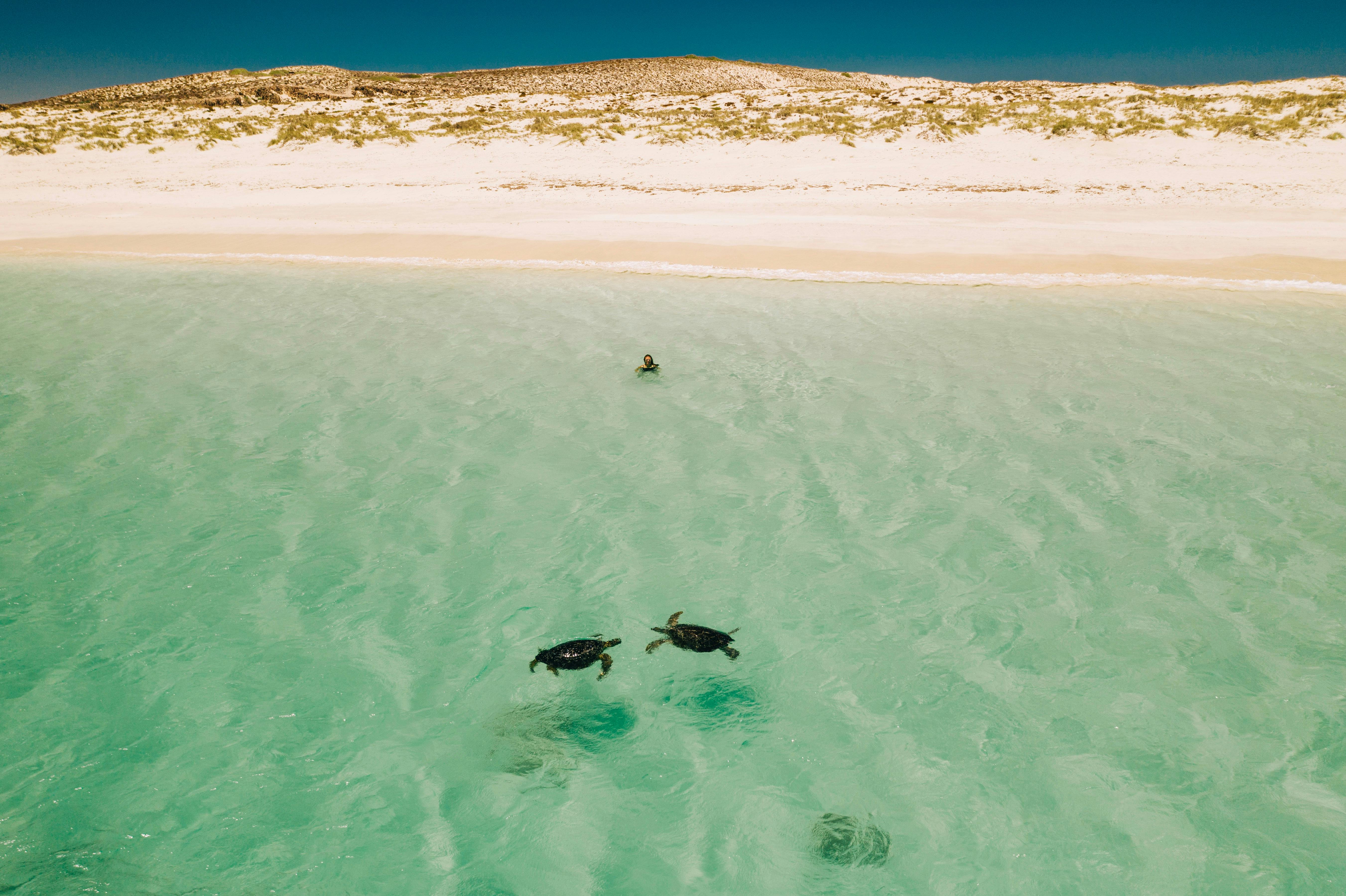 Montebello Islands