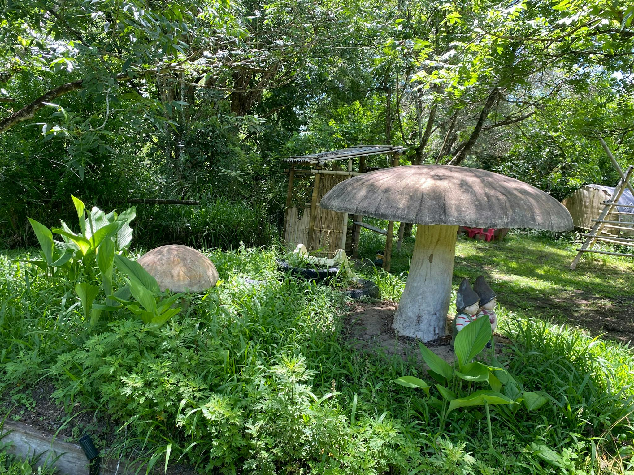 bring thes children with you