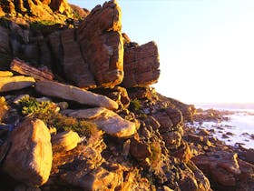 Margaret River Climbing Co.