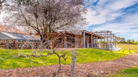 david Franz Cellar Door