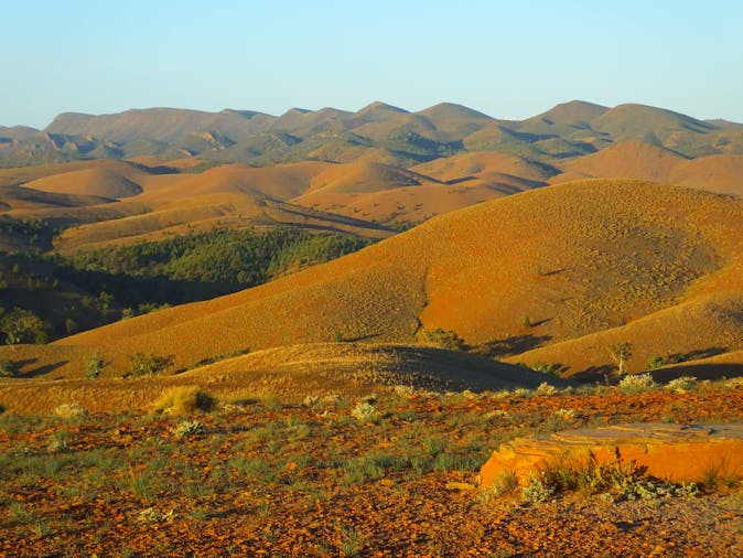 7 Day Tour Flinders Explorer
