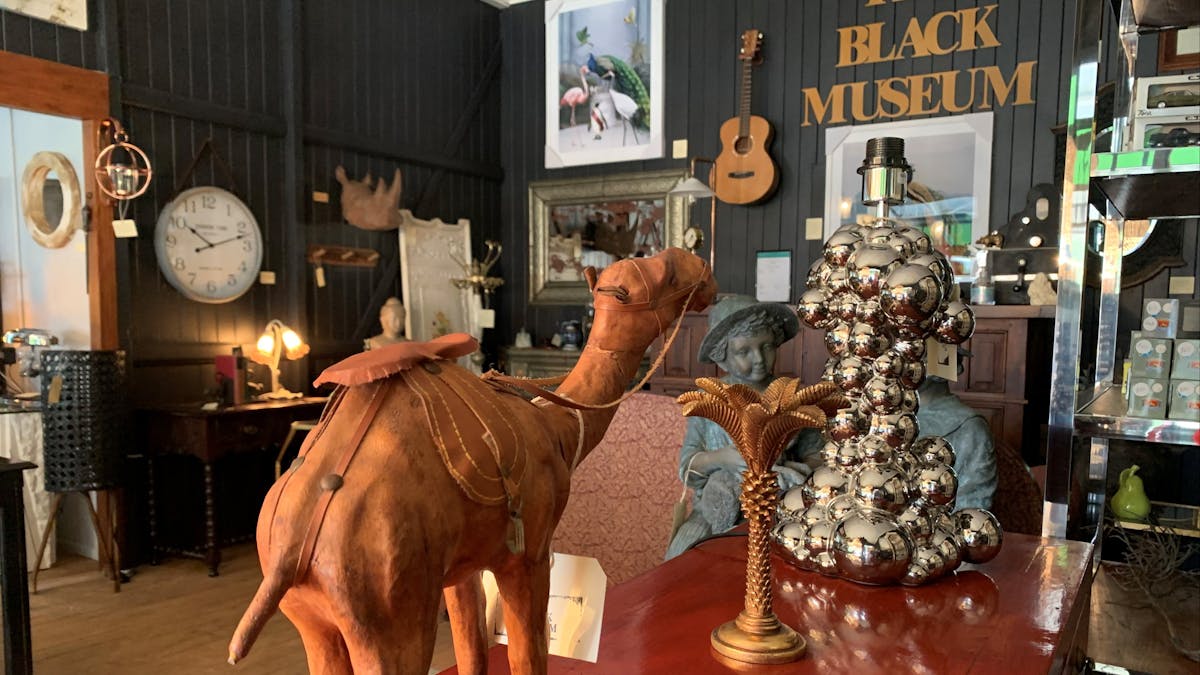 The Black Museum