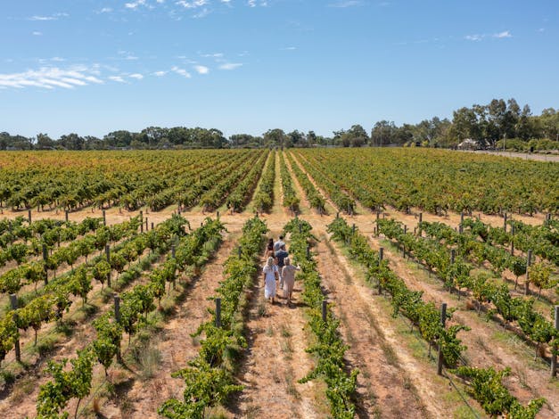 A Day in the Swan Valley