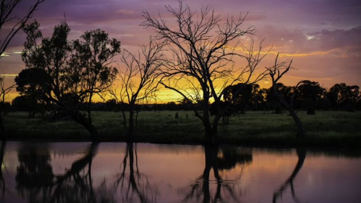 Tranquil setting on edge of lagoon