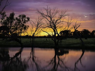 Tranquil setting on edge of lagoon
