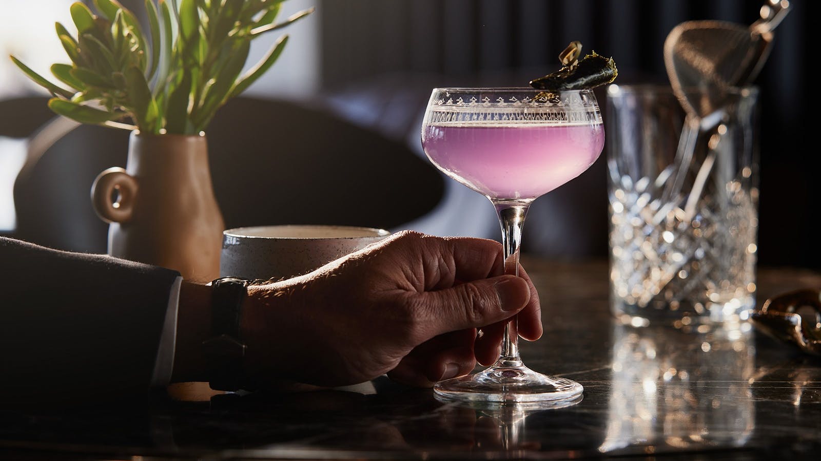 New Squid on the Block Cockatil