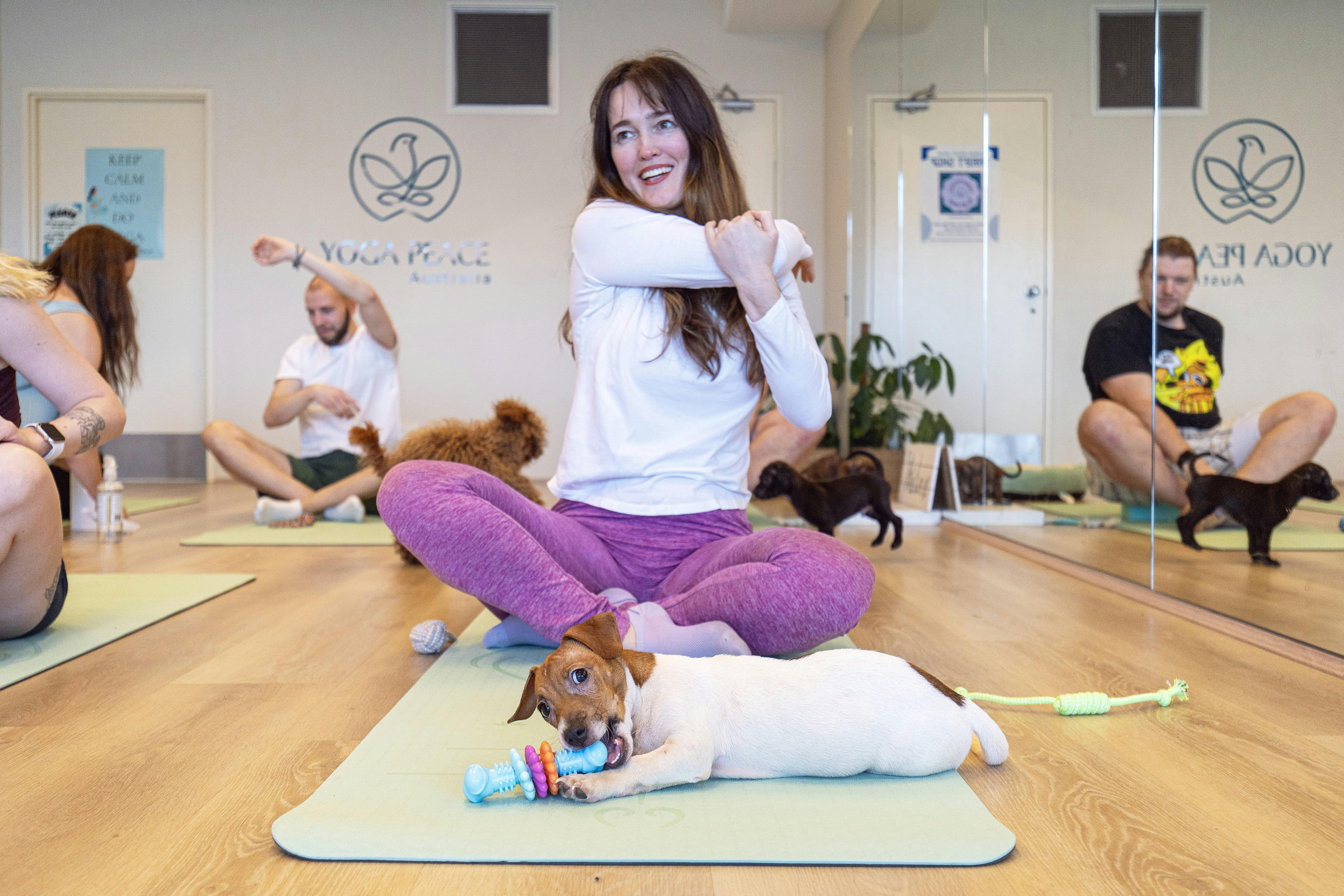 Puppies and Yoga