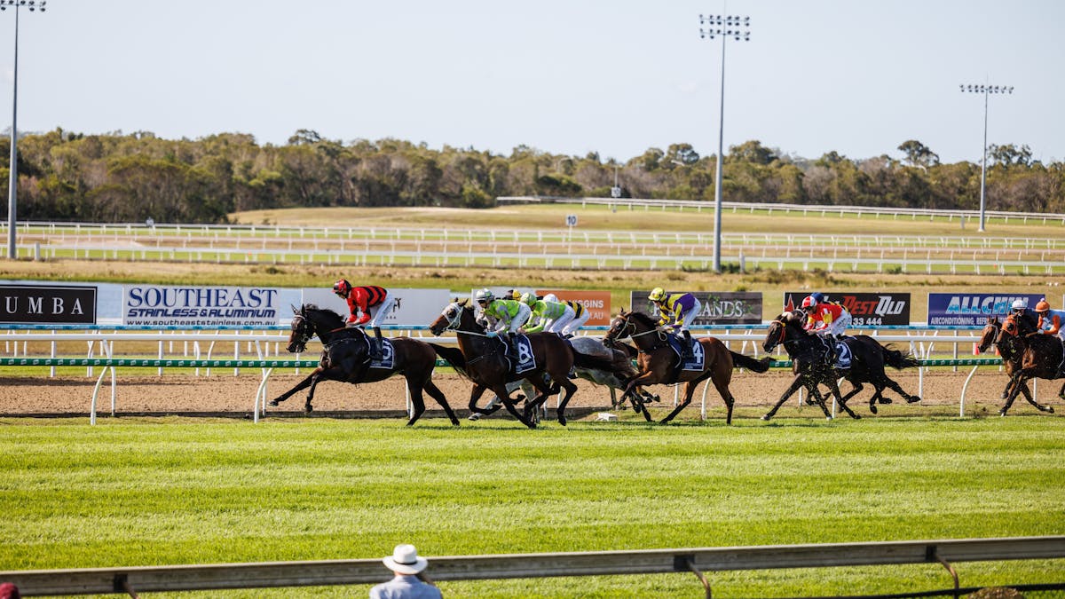 Thoroughbred racing