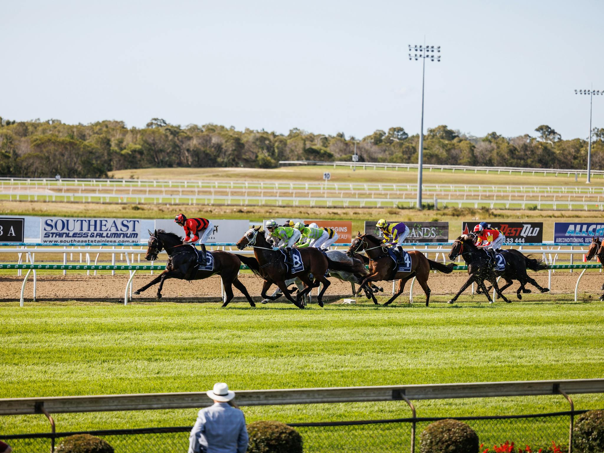 Thoroughbred racing Thoroughbred racing